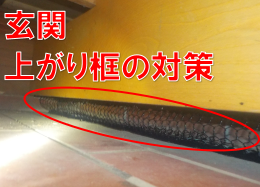【柏市大津ヶ丘】玄関の「におい」の原因を特定！捕獲後のスピード回収で取り戻した安心の暮らし
