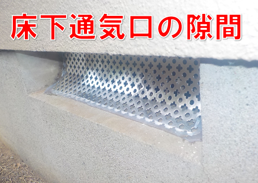 【柏市藤心・ネズミ駆除】「対策してもすぐ戻ってくる」のはなぜ？自然豊かな地域に潜む意外な侵入口を特定