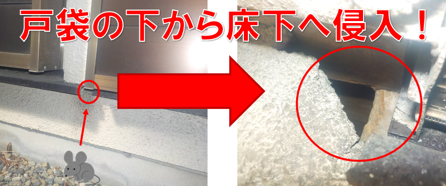 【流山市江戸川台西・ネズミ駆除】「不安で眠れない」夜に終止符を。戸袋下に隠された1cmの侵入路を特定！