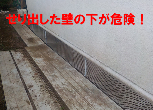 【柏市あかね町】100歳の一人暮らしを守る。ケアマネジャー様から託された「キッチンを走り回るネズミ」の根絶