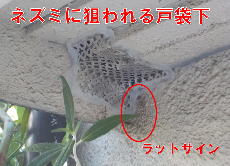 【鎌ケ谷市東初富】「綺麗なお家」ほどショックが大きいネズミの侵入……。ダスキン逆井支店との連携、そして2回目の再調査で見つけた「まさかの隠しルート」を完全封鎖！