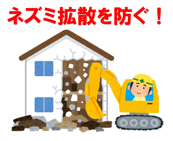 【柏市新富町】実家の解体前に。ご近所への「ネズミ拡散」を防ぐ、プロの捕獲・完全撤去の記録