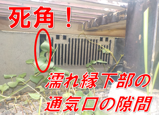 【東我孫子】独り暮らしの叔母様を守る。ブレーカーの隙間から侵入するネズミを特定、清掃まで寄り添った解決事例
