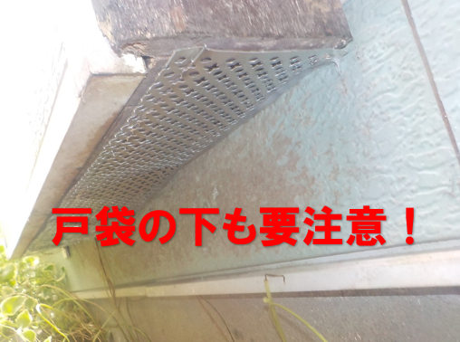 ネズミ駆除　戸袋下も要注意