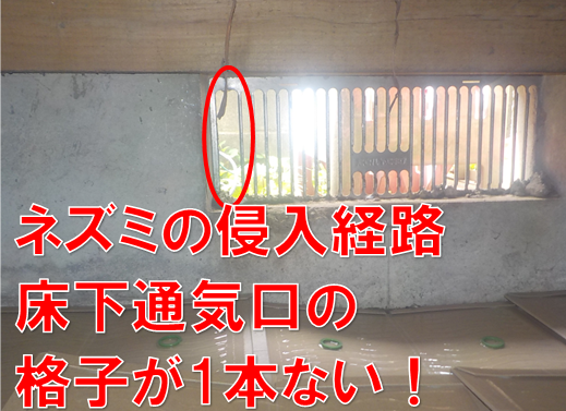【松戸市千駄堀】「こんな隙間から!?」シンク下・給湯器・床下通気口の隙間を塞ぎ、クマネズミを完全撃退！