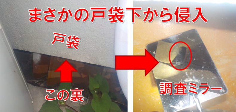 【流山市松ケ丘】「もう家を手放したい…」他社で止まらなかったネズミ被害。死角に隠れた“戸袋の穴”を特定し完全解決！