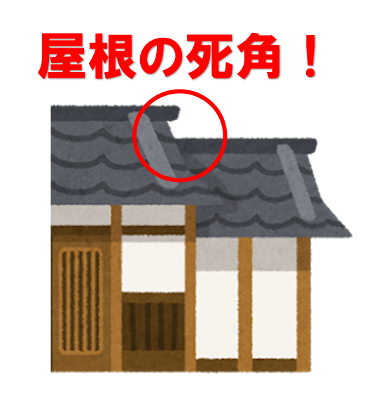 ネズミ駆除　屋根の死角