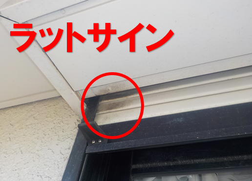 【松戸市常盤平】のアパートでネズミ対策。シャッターの隙間と繋がった天井裏、プロが選んだ『継続管理』の正解