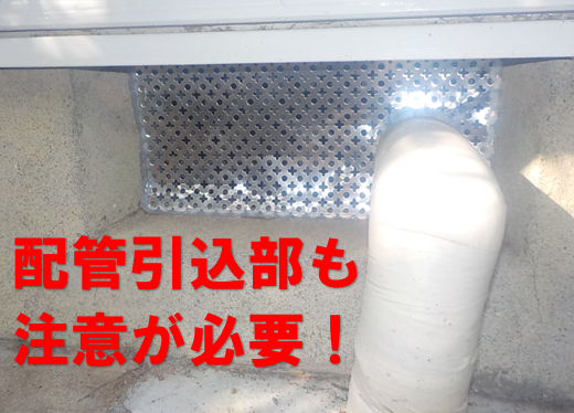 【松戸市栄町】でネズミ駆除｜エアコンから侵入！？リフォーム後に始まった天井裏の異音と『配管』の死角