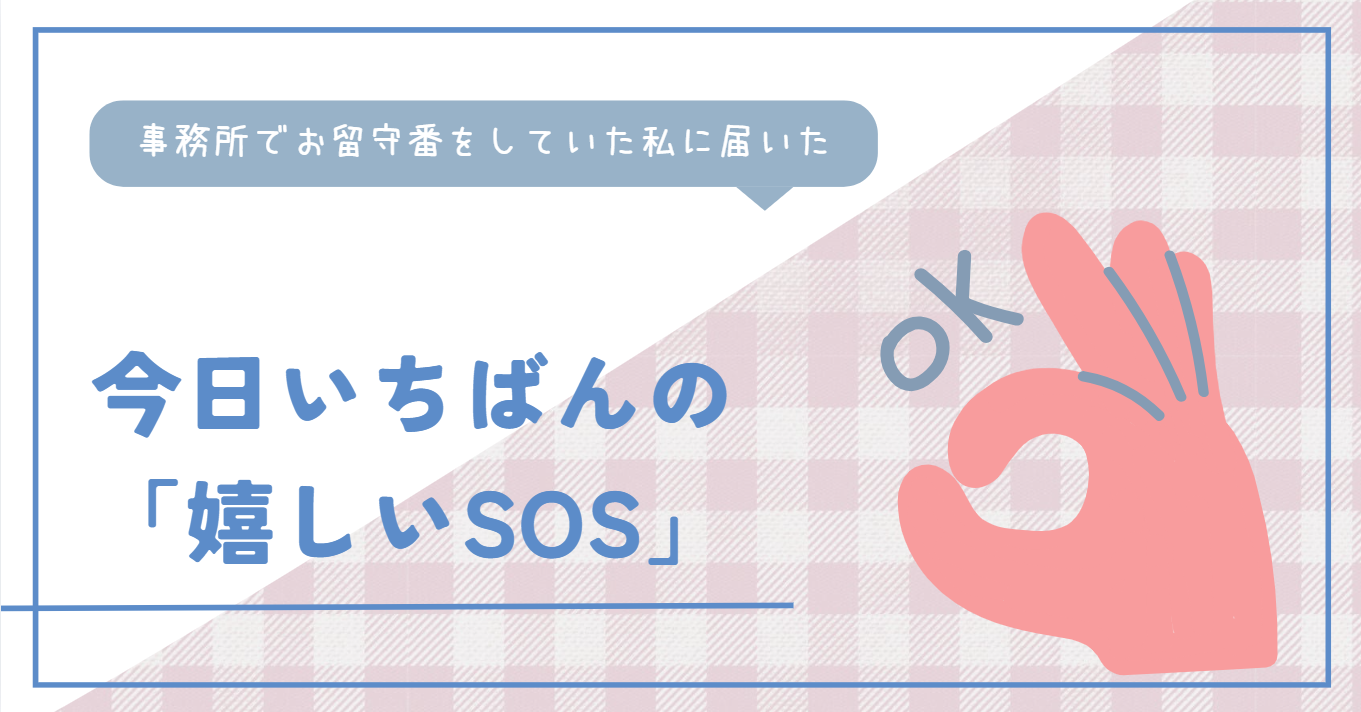 受話器の向こうの「ありがとう」。スポンジ1個のご注文に、私がとっても感動したお話。
