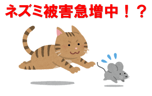 【我孫子市】ネズミ被害が急増中？「若松・湖北台」など古いお家を狙う侵入ルートと根本対策