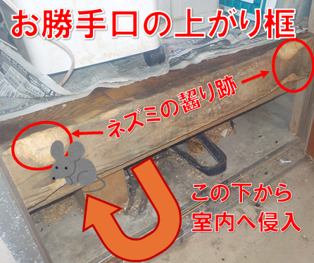 【柏市布施新町】「もっと早く頼めばよかった！」キッチンに出没するネズミの恐怖。モノに隠された侵入口を徹底特定！
