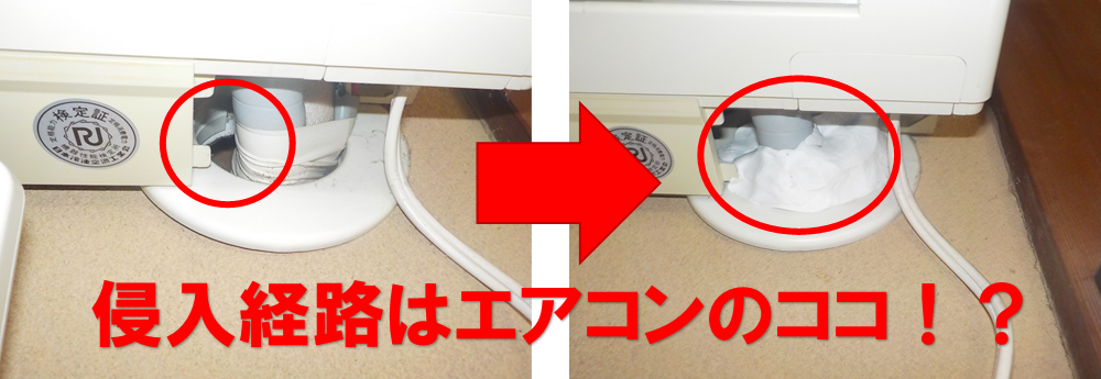 【柏市高南台】「2階の寝室になぜ？」ゴキブリの意外な侵入経路を特定！外からの侵入を未然に防ぐプロの技