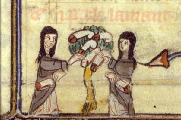 Le monache presso l'albero dei falli - Miniatura dal Roman de la Rose, Jean de Meung