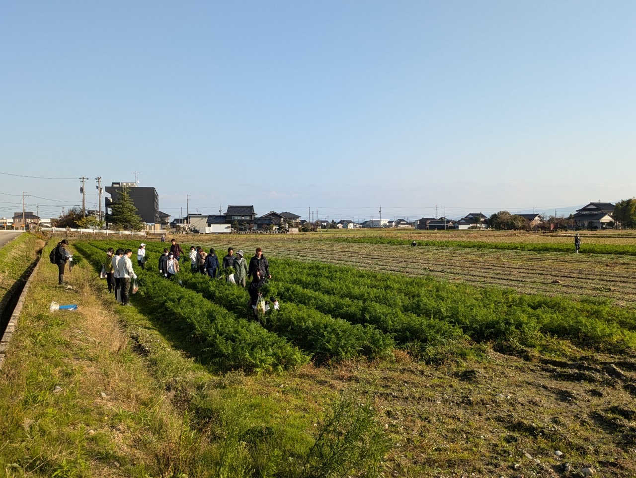 令和 6 年度 ほ場視察研修会