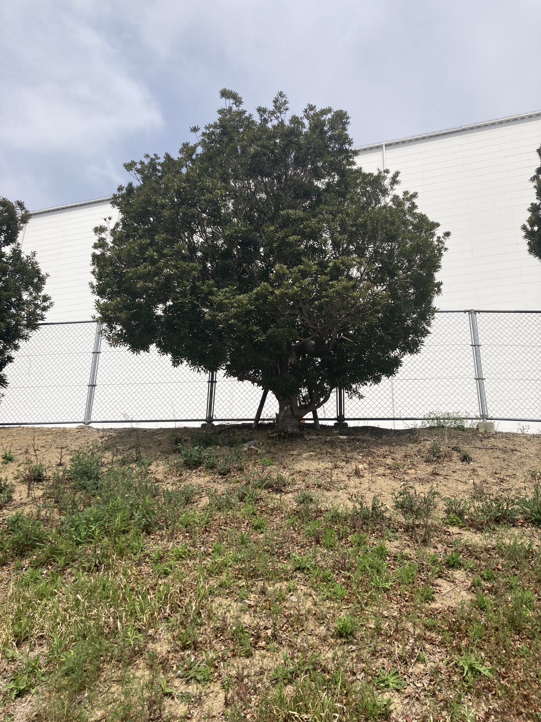 三田市某企業A社様　作業前
