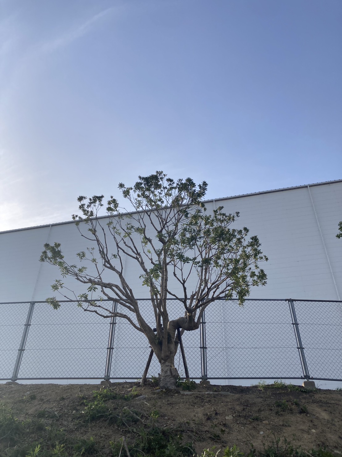 三田市某企業A社様　作業後
