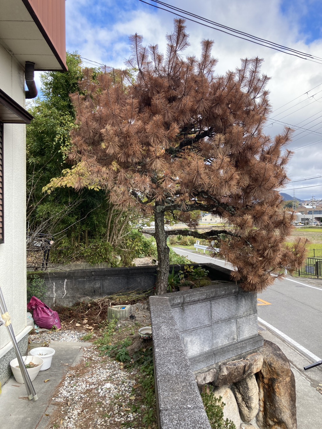 三田市M様邸　作業前