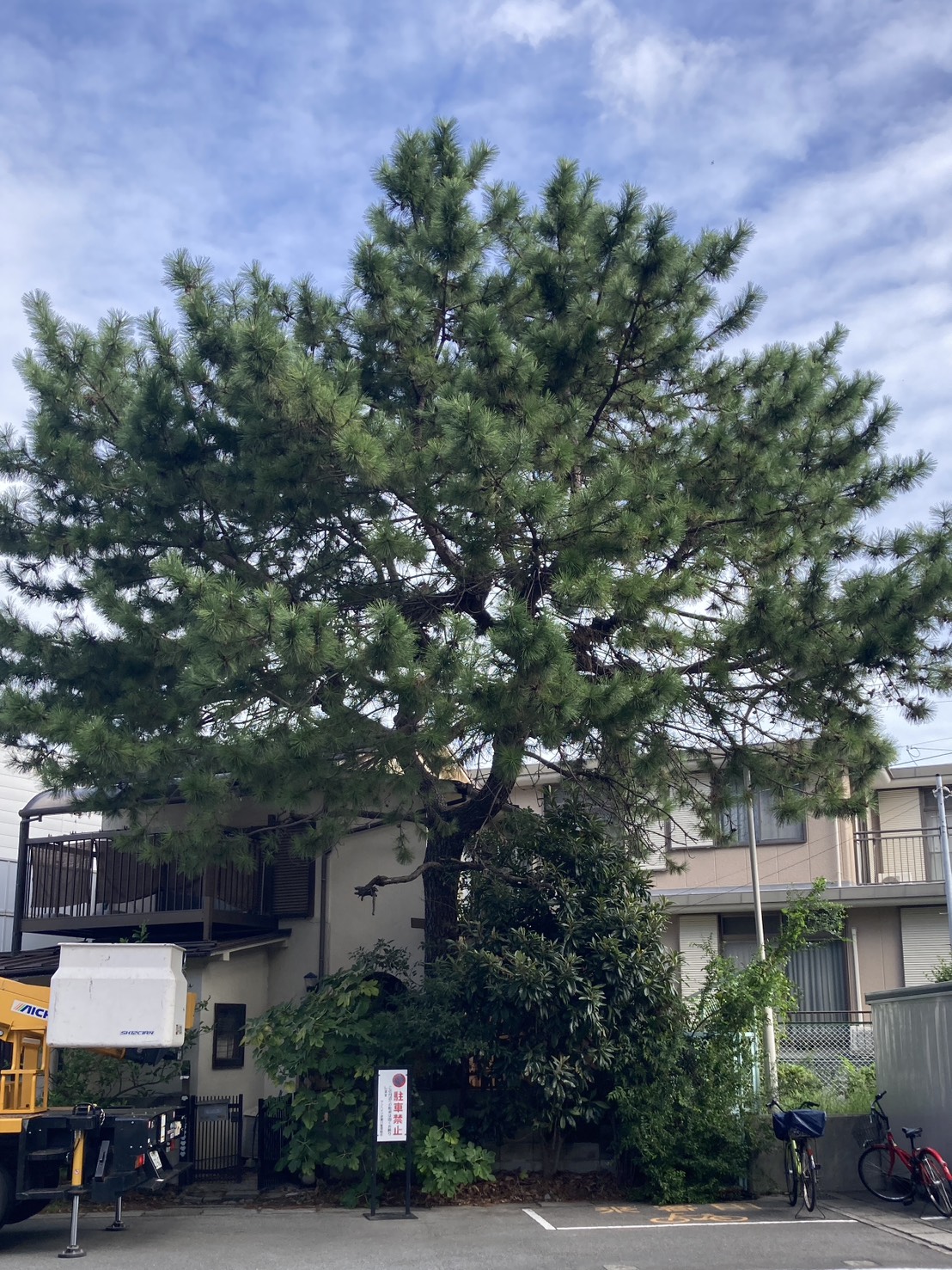 宝塚市M様邸　作業前