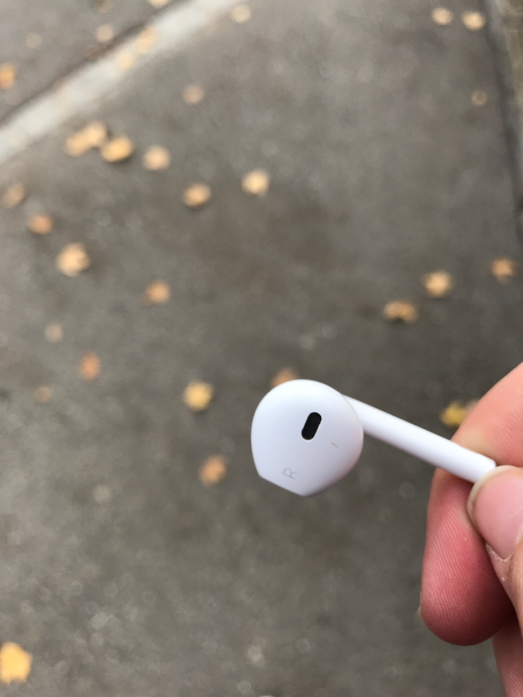 EarPods