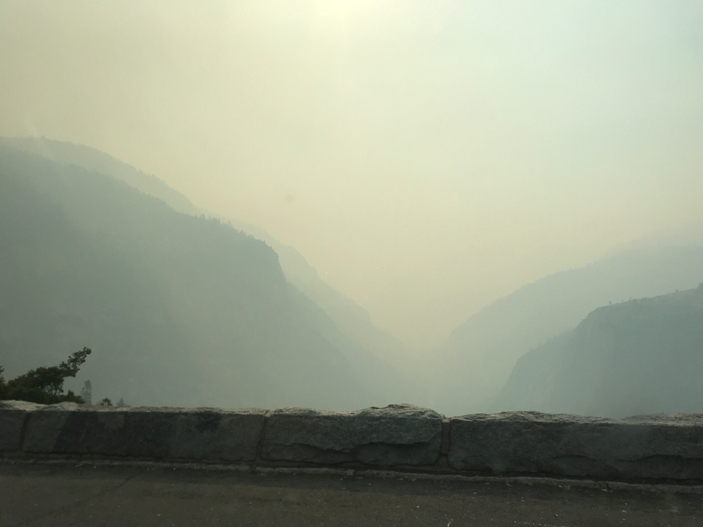 Waldbrand im Yosemite Nationalpark