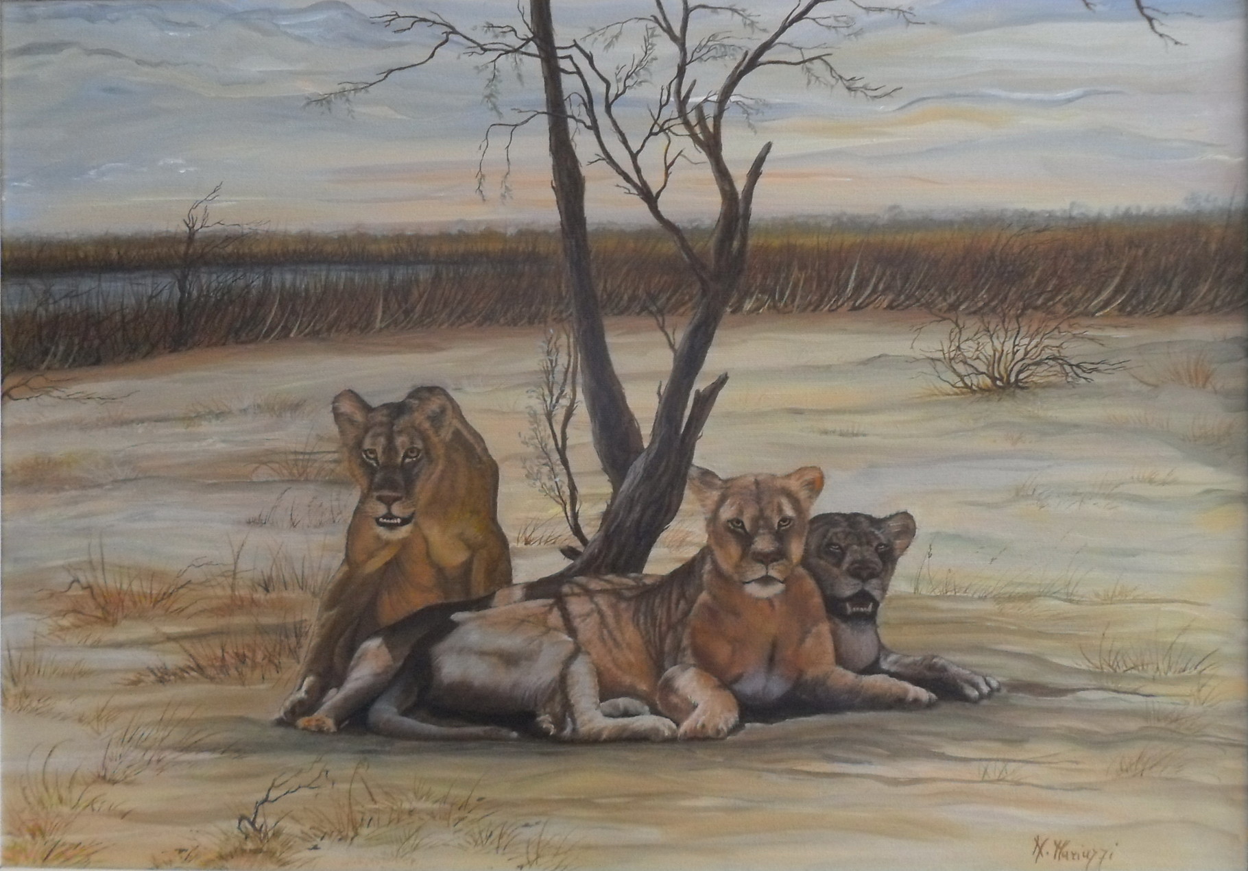 Leonesse - acrilico su tela - 50x70