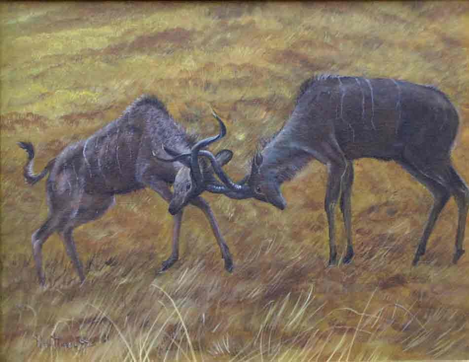 Antilopi - acrilico su tela - 35x45