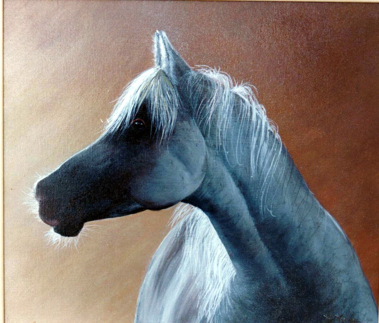 Cavallo bianco - acrilico su tela - 30x35