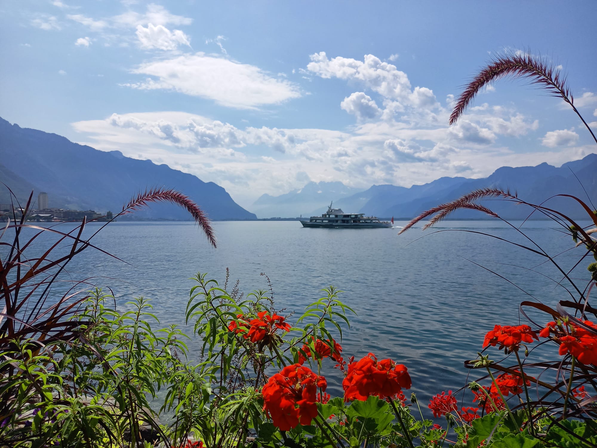 (c) Bewusstbewegen.ch