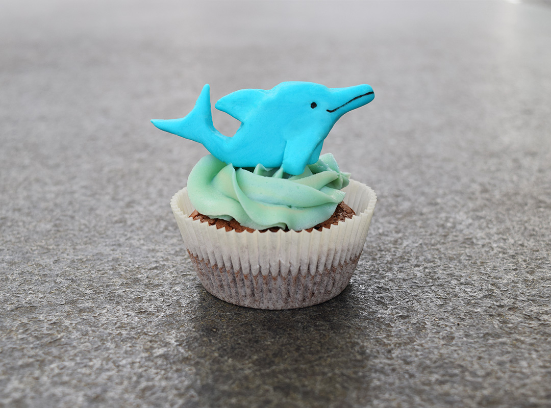 GeburtstagsCupcakes Cupcakes für jeden Anlass Geburtstag, Hochzeit, Taufe oder zum Apéro