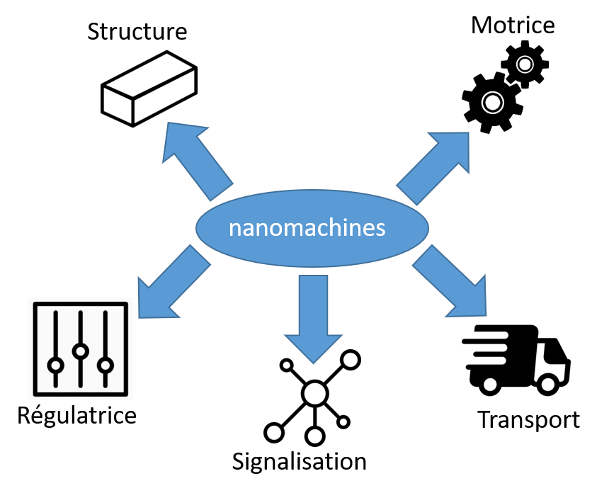 Les 5 types de nano-machines