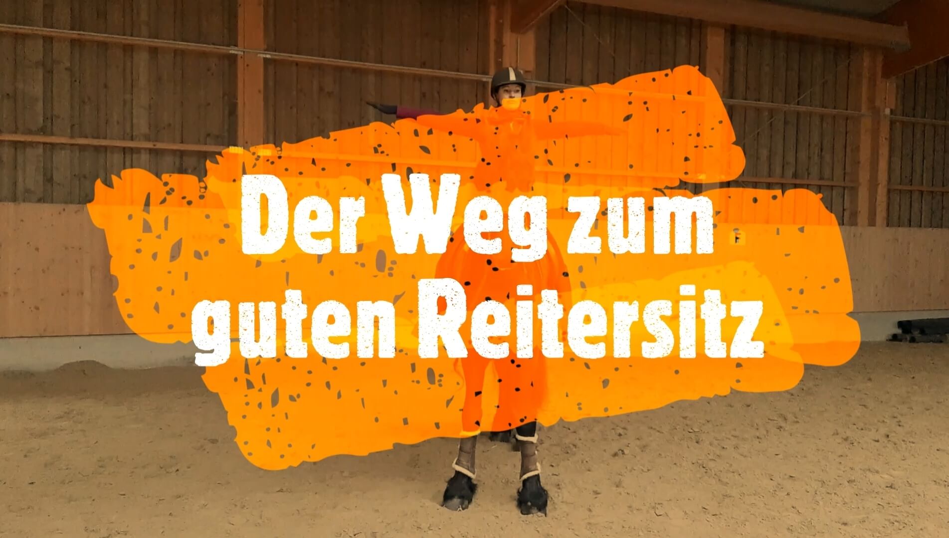 Der Weg zum guten Reitersitz