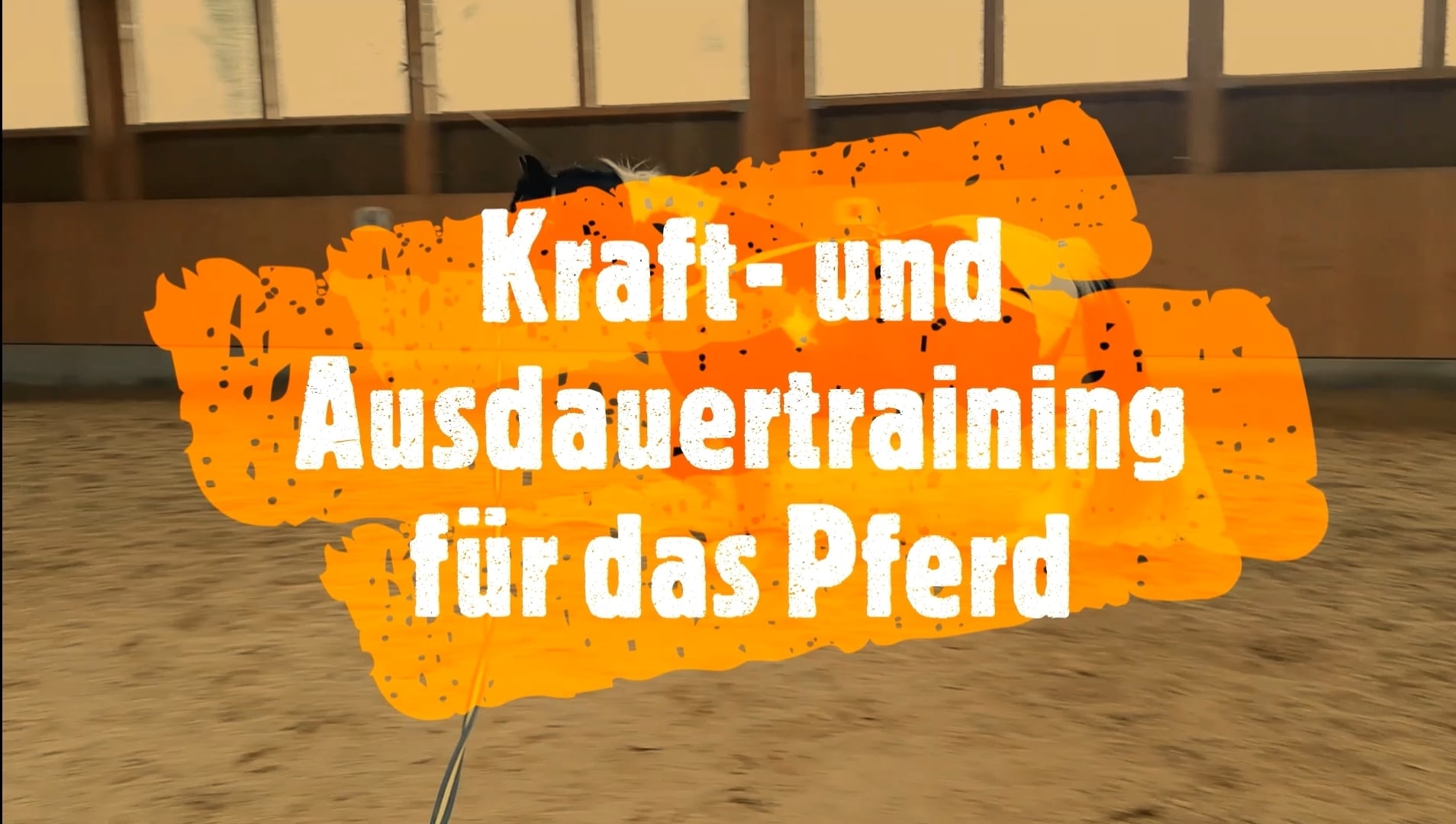 Kraft- und Ausdauertraining für das Pferd