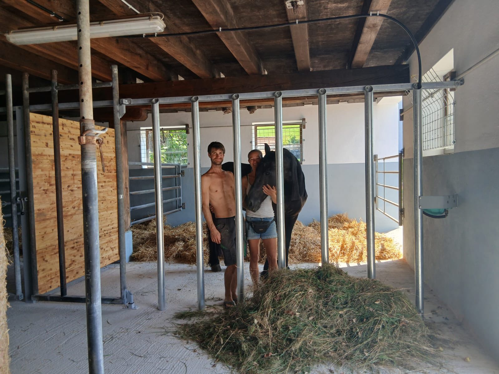 Barockhengste im neuen Zuhause!