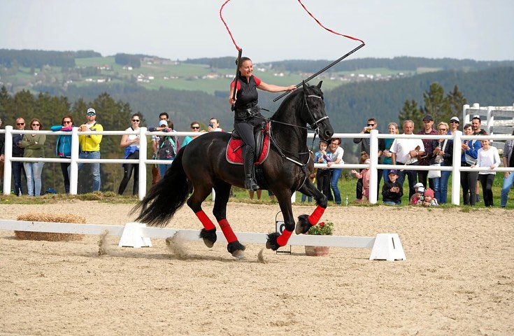 Pferdeshow Reitverein Oberneukirchen