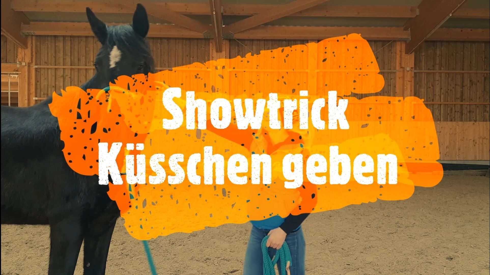 Pferdeshowtrick: Küsschen geben