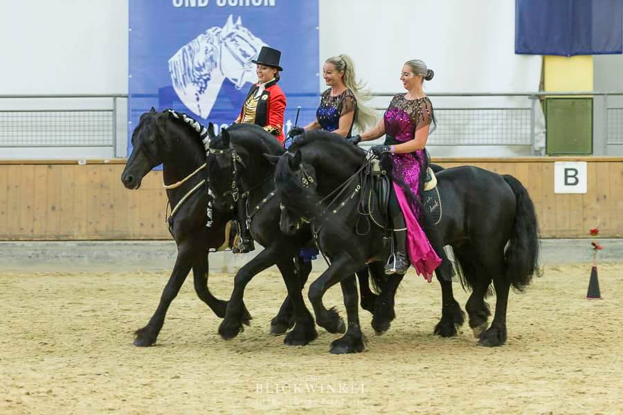 Erfolgreiche Shows in Stadl Paura und Graz