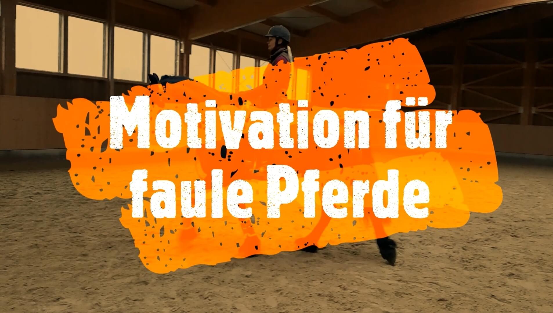 Motivation für faule Pferde