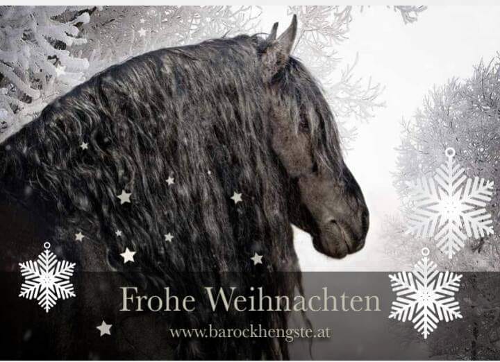 Frohe Weihnachten!