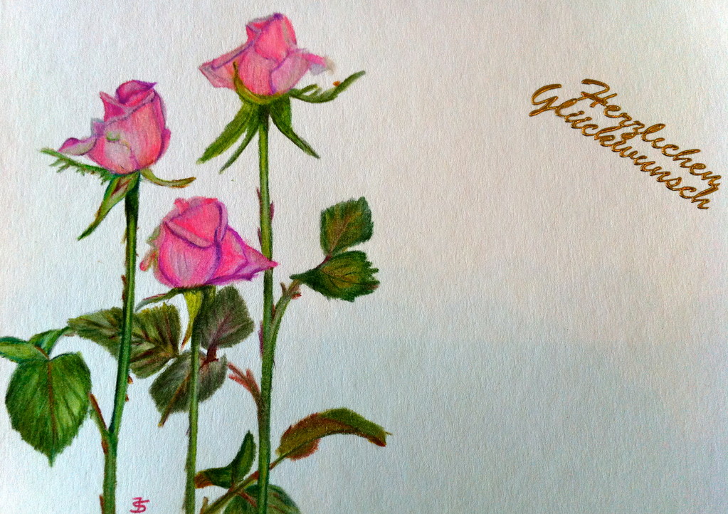 Geburtstagskarte - Rosa Rosen