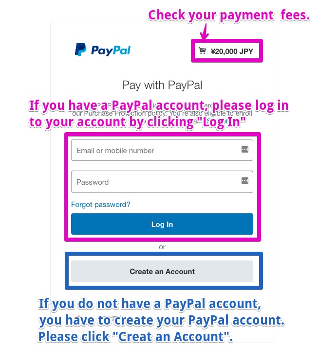 Figure 4. PayPal payment page.