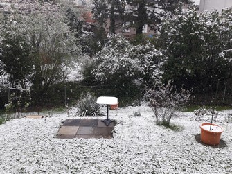 Schnee im Frühling