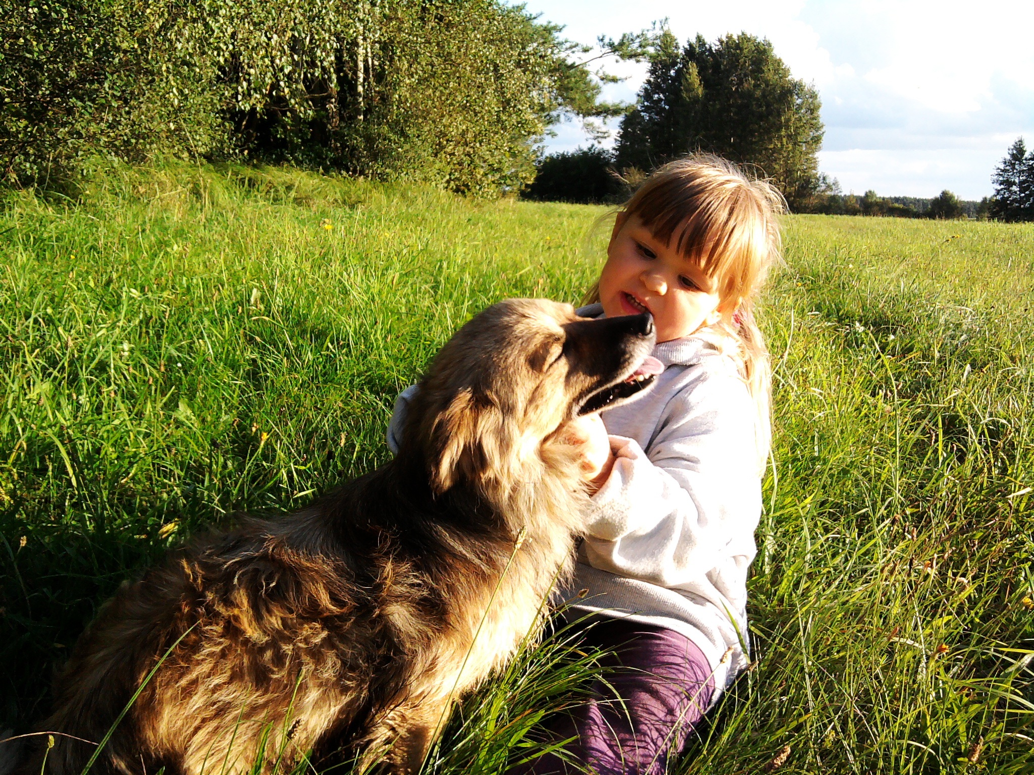 Hund richtig kennenlernen