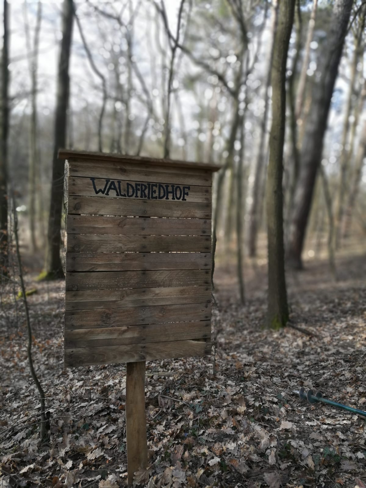 Flucht der Unvollkommenen in Bad Saarow