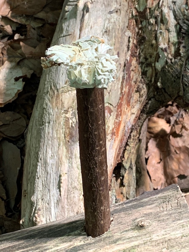 Erlebnispädagogik - Bau von Nature Adventure Games mit Jugendlichen