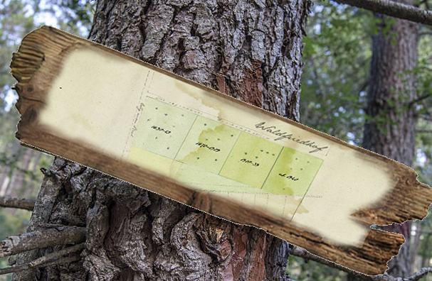 Outdoor Escape Room