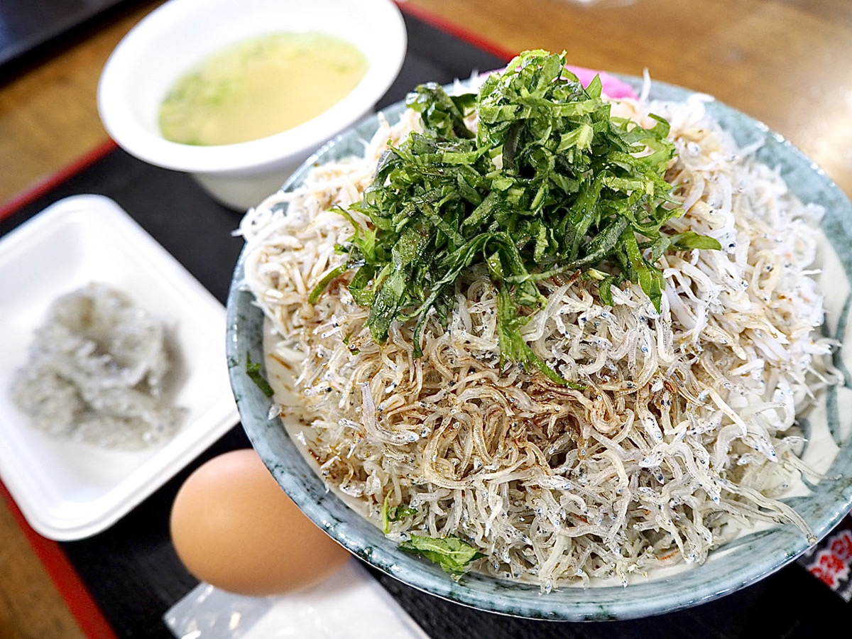 香南市 しらす ドロメが夢の食べ放題 土佐角弘海産 藤宗本澤法律事務所 高知弁護士会所属 香南市 しらす ドロメが夢の食べ放題 土佐角弘海産 藤宗本澤法律事務所 高知弁護士会所属