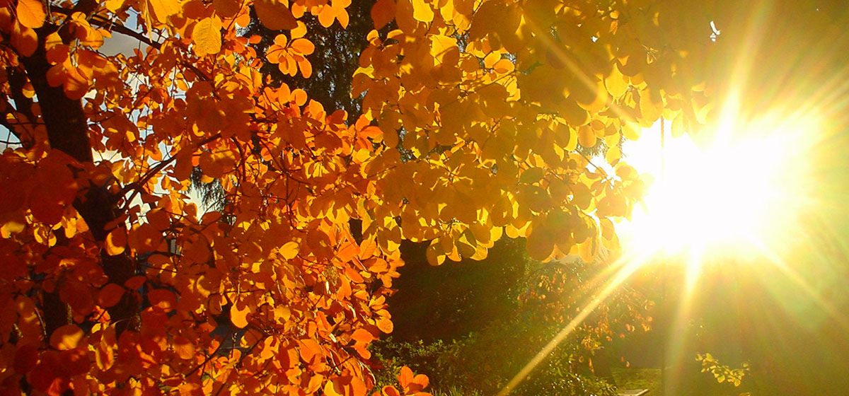 De 3 geheimen van de herfst.