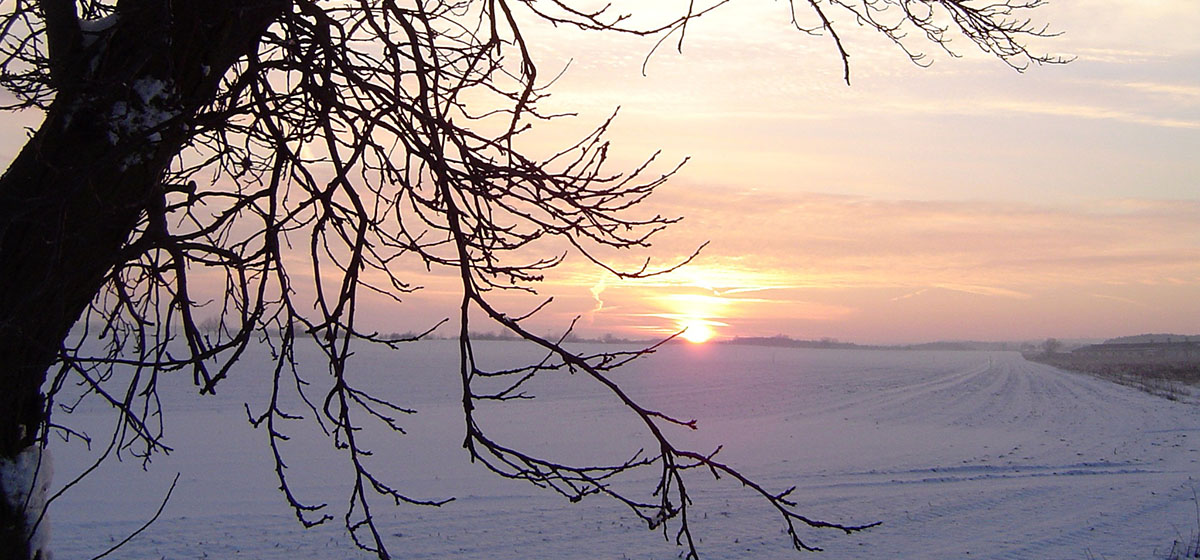 Wonderen van de winter.