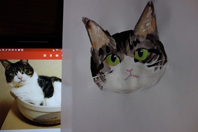 猫イラスト